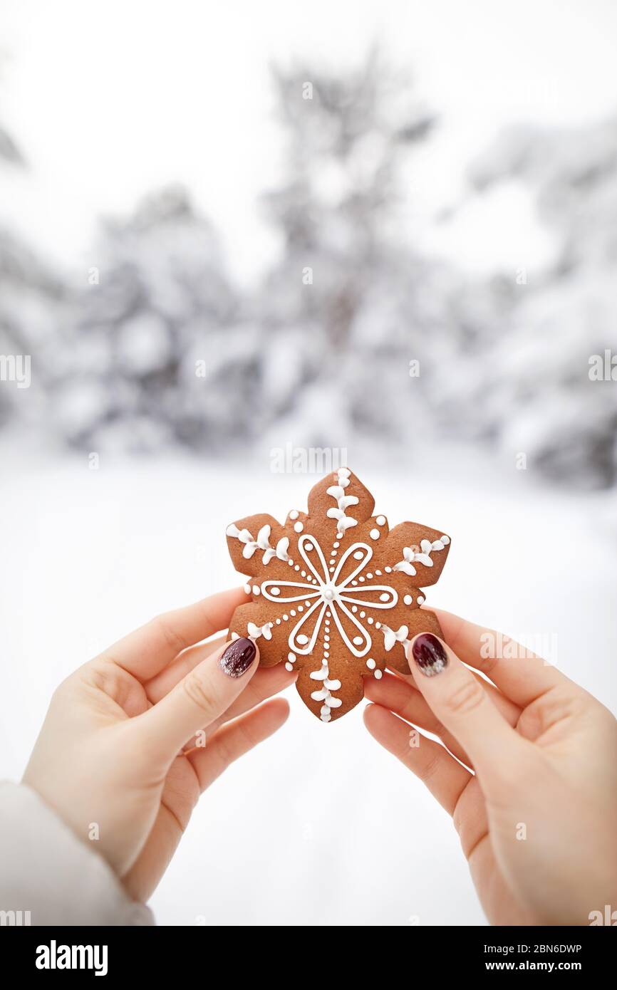 Girl holding ginger bread cookie dans la forêt d'hiver au moment de Noël Banque D'Images