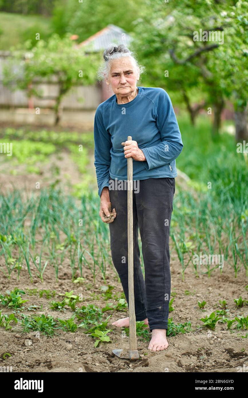 Une vieille femme paysanne avec une houe dans son jardin Banque D'Images