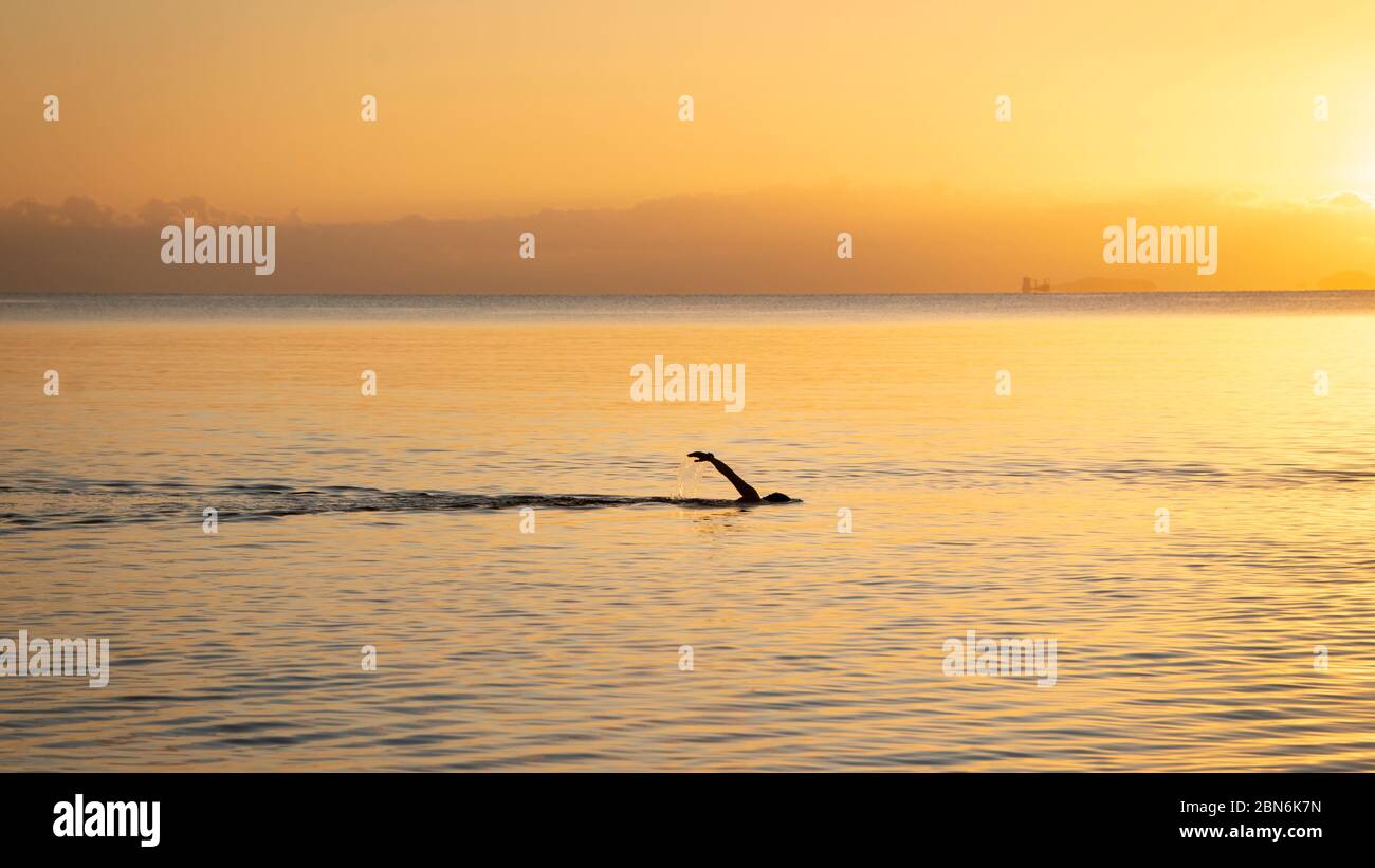 Un nageur de silhouette profite de la nage au lever du soleil doré. Banque D'Images