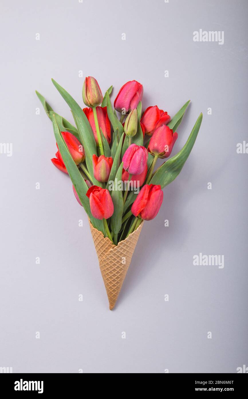 Rouge magnifiques tulipes dans un cône de gaufres de glace avec carte Bonjour sur un fond de béton. Idée conceptuelle d'un cadeau de fleur. Ambiance printanière Banque D'Images