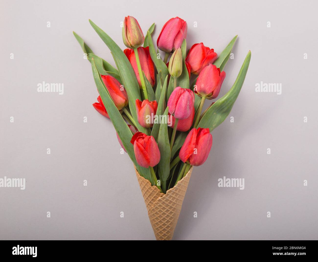 Rouge magnifiques tulipes dans un cône de gaufres de glace avec carte Bonjour sur un fond de béton. Idée conceptuelle d'un cadeau de fleur. Ambiance printanière Banque D'Images