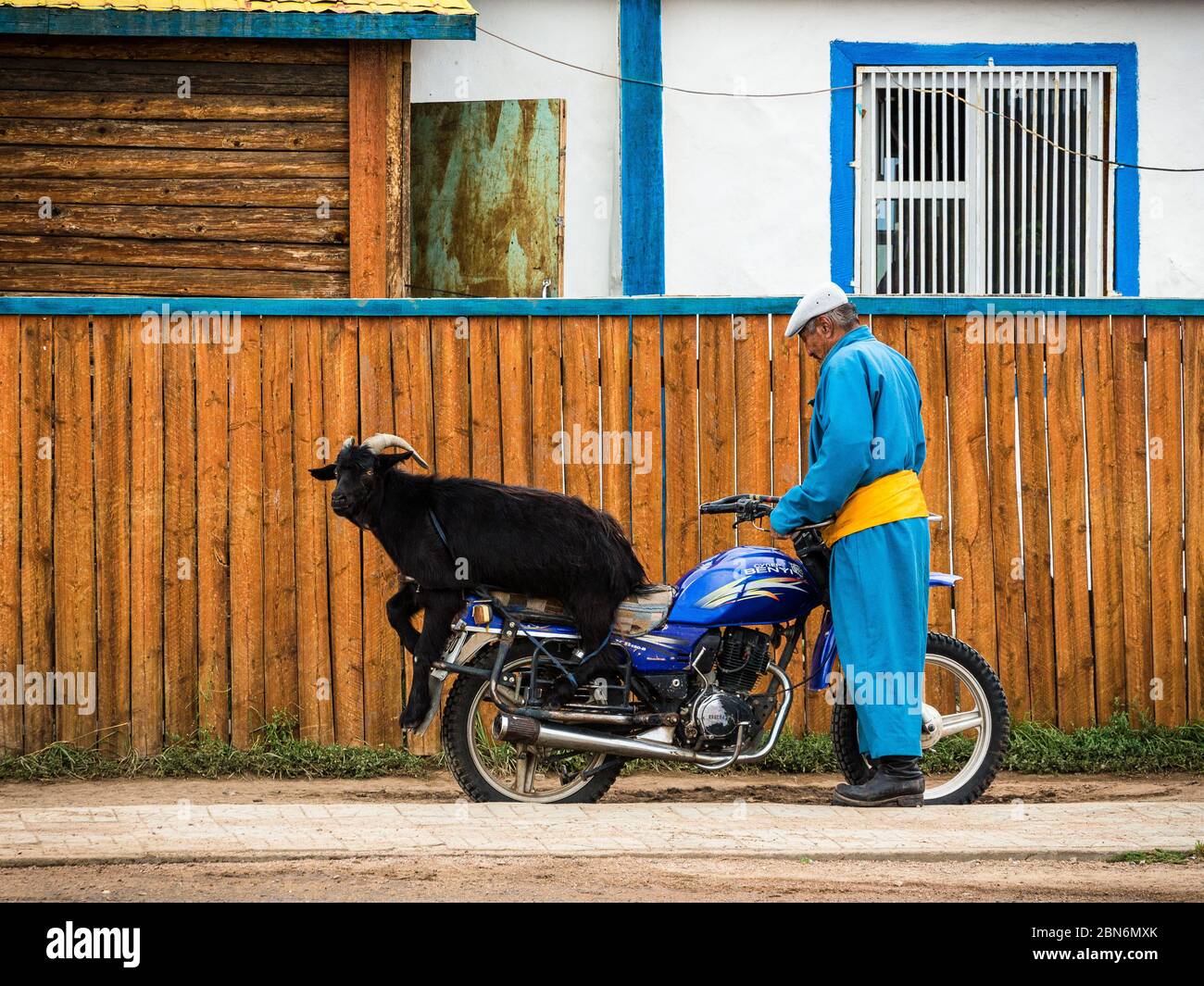 Chèvre Rider - berger mongol transportant sa précieuse chèvre sur une moto Banque D'Images