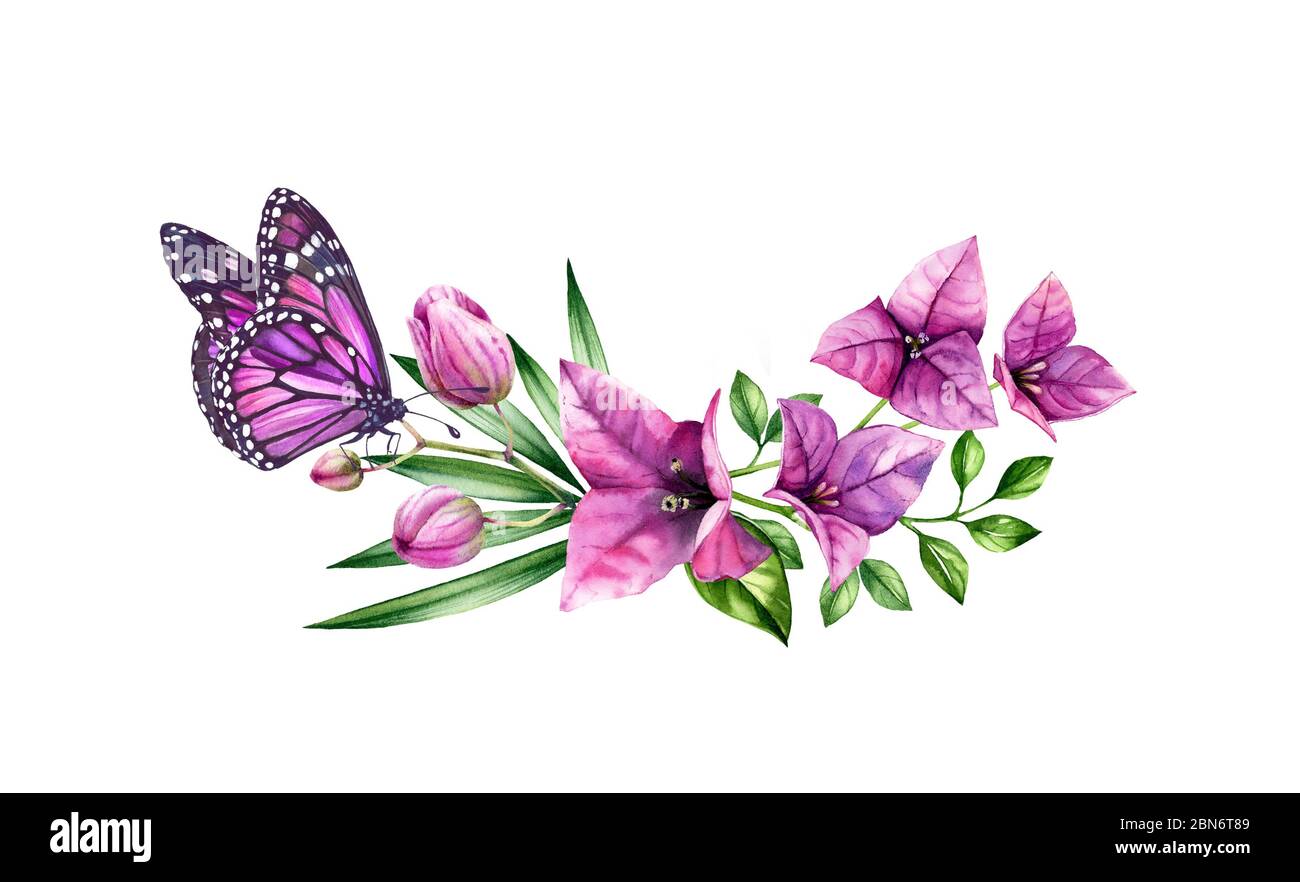 Bouquet de bougainvilliers aquarelle avec papillon. Fleurs violettes, monarque violet et feuilles de palmier. Couronne tropicale à fleurs peinte à la main. Botanique Banque D'Images