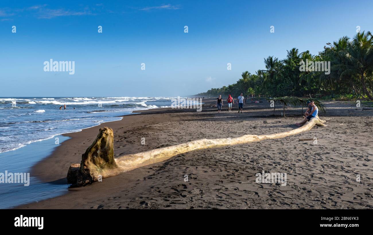 Plage des Caraïbes à Tortuguero, Costa Rica Banque D'Images