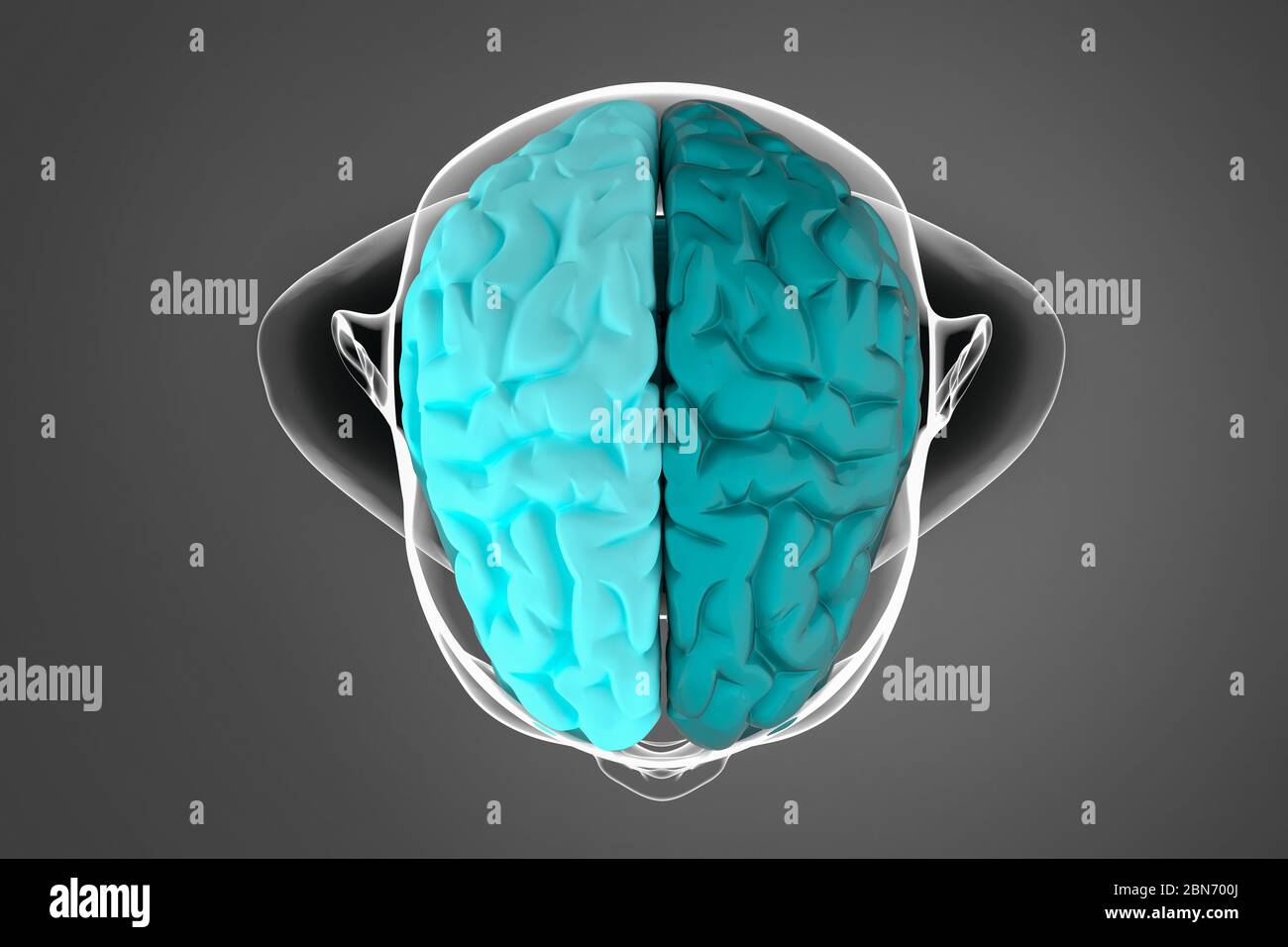 illustration 3d du cerveau humain, de l'hémisphère cérébral, sur fond sombre avec silhouette du corps Banque D'Images