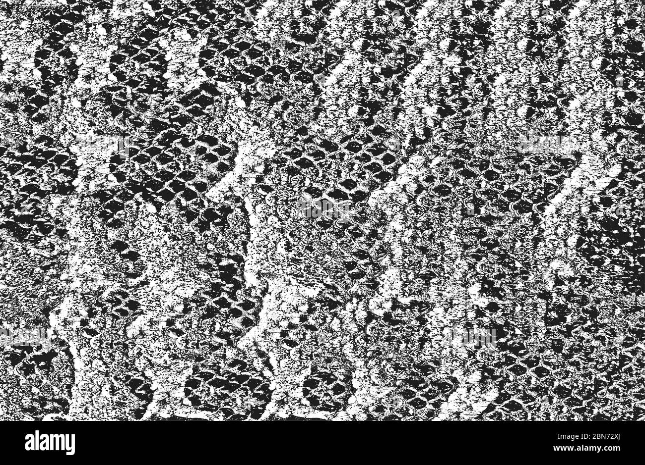 Peau de serpent de détresse texture grunge. Illustration vectorielle EPS 8. Fond noir et blanc. Illustration de Vecteur