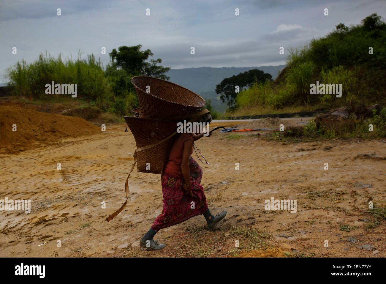 Une fille tribale porte des paniers lorsqu'elle se rend au champ de Jhum à Thanchi à Bandarban, au Bangladesh, le 1er octobre 2019. Le jhum est la culture principale de la communauté tribale qui vit dans les pistes de Chittagong Hill au Bangladesh. Jhum cultures - paddy, chillie, gingembre, curcuma, maïs, potiron, coton, brinjal, okra, épinards quelques autres légumes récoltant sur les pentes de colline chaque année. Les agriculteurs tribaux appliquent leur technique spéciale pour cultiver Jhum. Onze communautés autochtones vivent sur les terres vallonnées qui dépendent des cultures de Jhum. Dans cette saison, les terres vallonnées tout entier ont un aspect doré. Banque D'Images