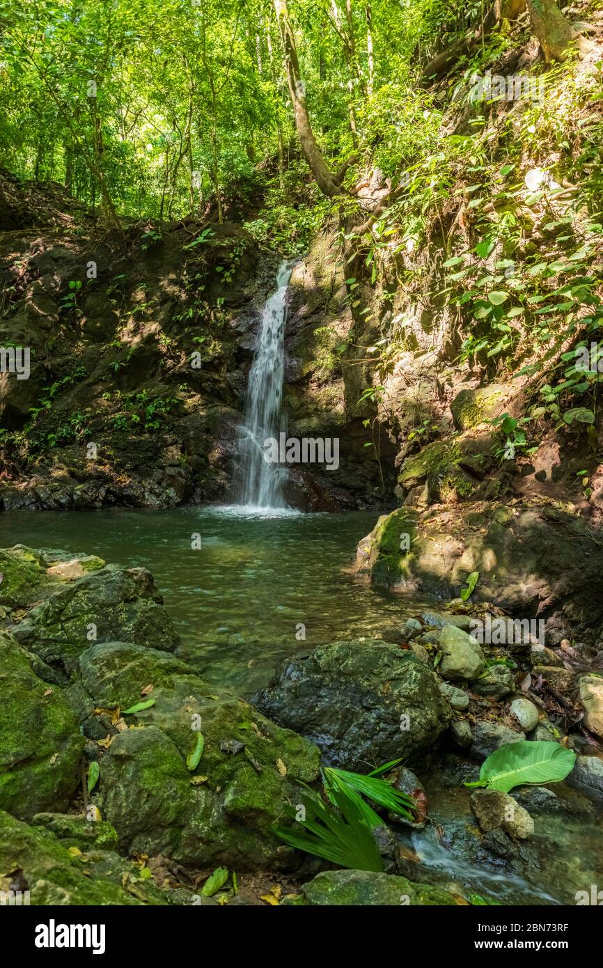 Ruisseau de la forêt tropicale au fond de la vallée, Costa Rica Banque D'Images