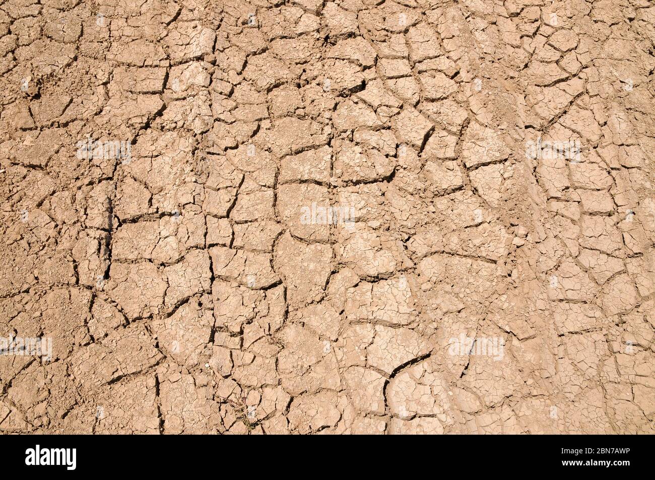 Concept environnemental sécheresse désert Paysage. Terre sèche fissurée dans une zone aride. Photographié à Wadi Rum, en Jordanie, en avril photographié dans le Nord Banque D'Images