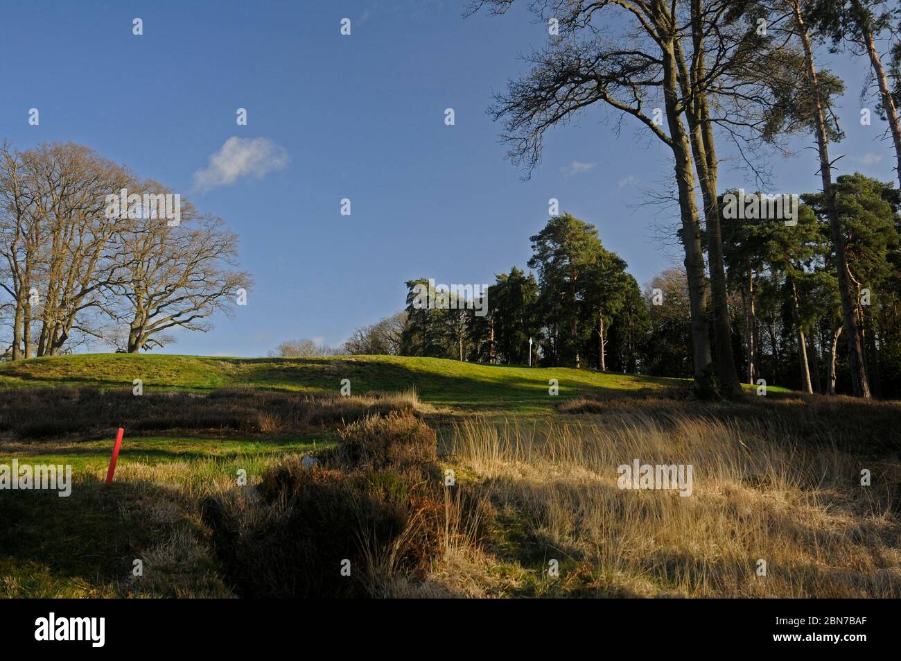Vue sur l'herbe de Fescue et petit fossé jusqu'à 1st Green, Woking Golf Club, Woking, Surrey, Angleterre Banque D'Images