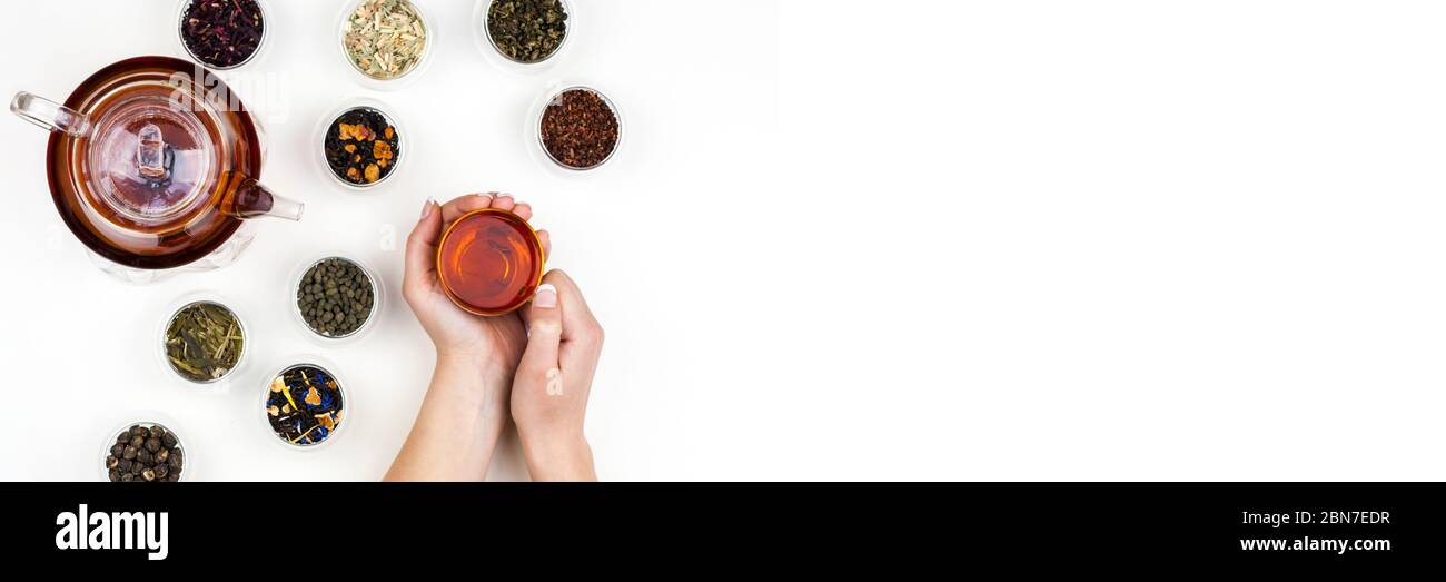 Les mains de la femme tiennent une tasse de thé. Différents types d'herbes de thé sèches dans des tasses en verre et théière avec thé infusé sur fond blanc. Bannière de type horontal avec espace de copie. Banque D'Images