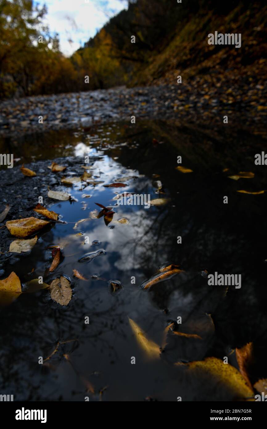 Caucase, Géorgie, région de Tusheti, Dartlo. Ciel réfléchi dans l'eau avec des feuilles d'automne sur une route à Tusheti Banque D'Images