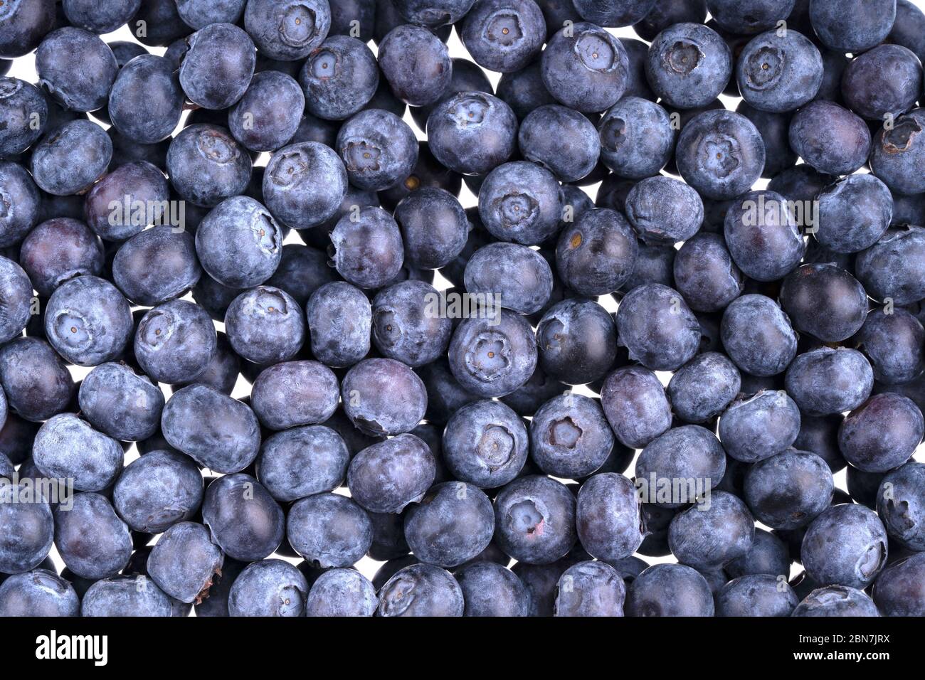 Fond de bleuets frais. Texture baies juteuses de bleuets gros plan. Alimentation saine ou nutrition. Concept végétalien et végétarien. Vue de dessus, macro, fr Banque D'Images