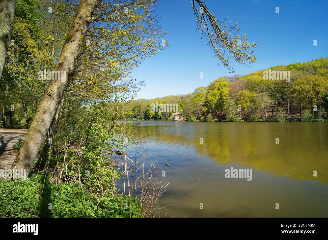 Royaume-Uni,West Yorkshire,Wakefield,Newmillerdam,barrage Newmiller au printemps Banque D'Images