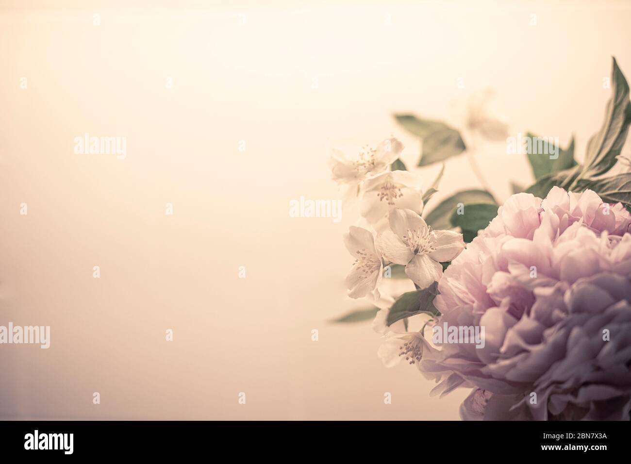 Printemps fleurs fond en rose filtre vintage, avec pivoine (paeonia) et  orange mock (philadelphus). Fond d'écran gros plan bouquet BW avec espace de  copie o Photo Stock - Alamy