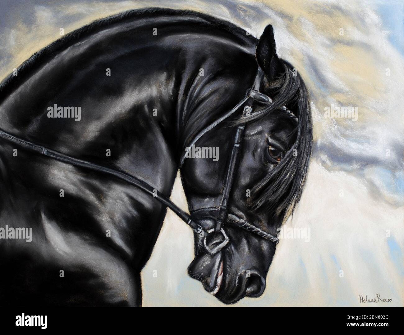 Beau dessin d'art avec un cheval de frise Banque D'Images