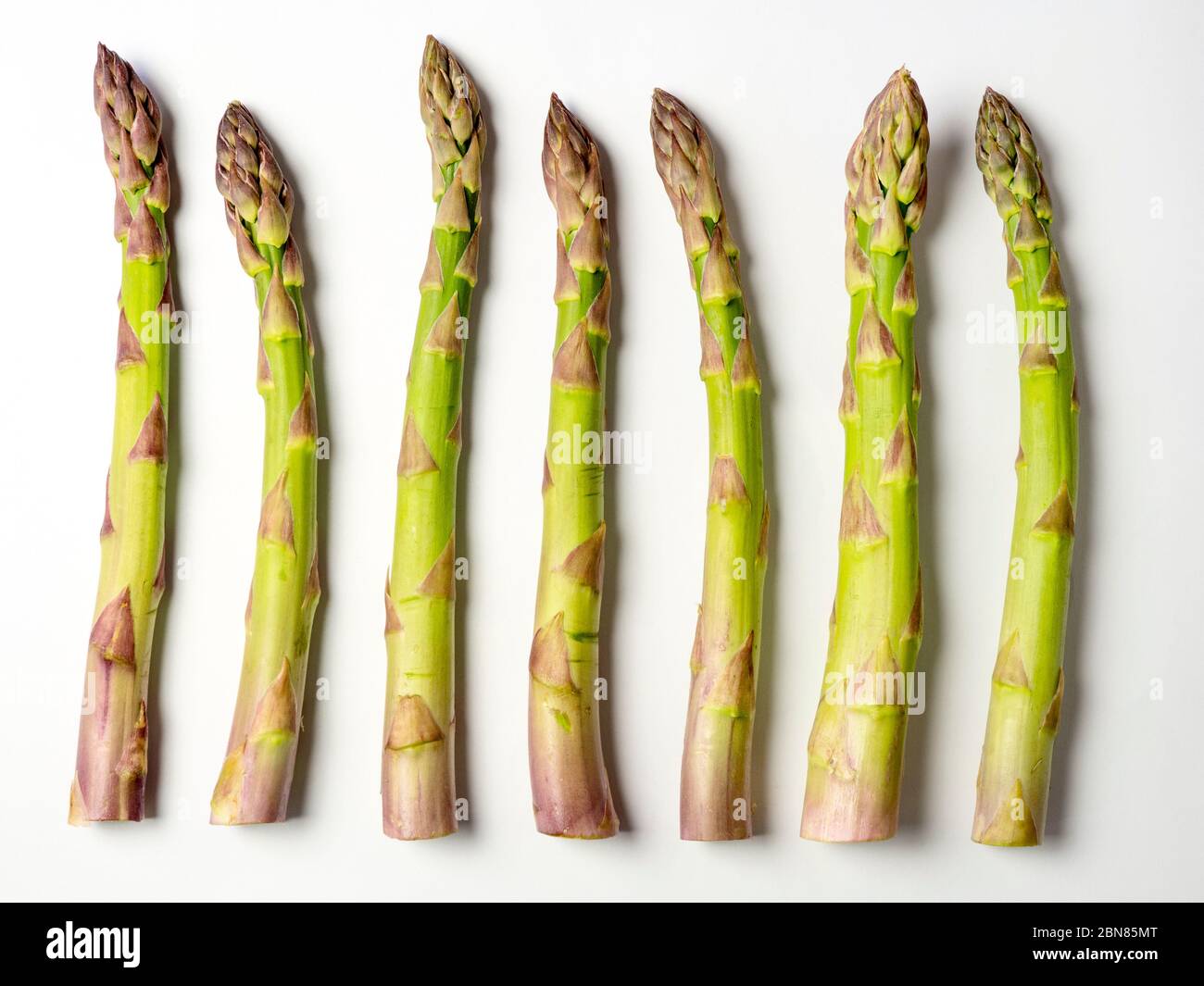 Sept épis d'asperges alignés sur un fond blanc Banque D'Images