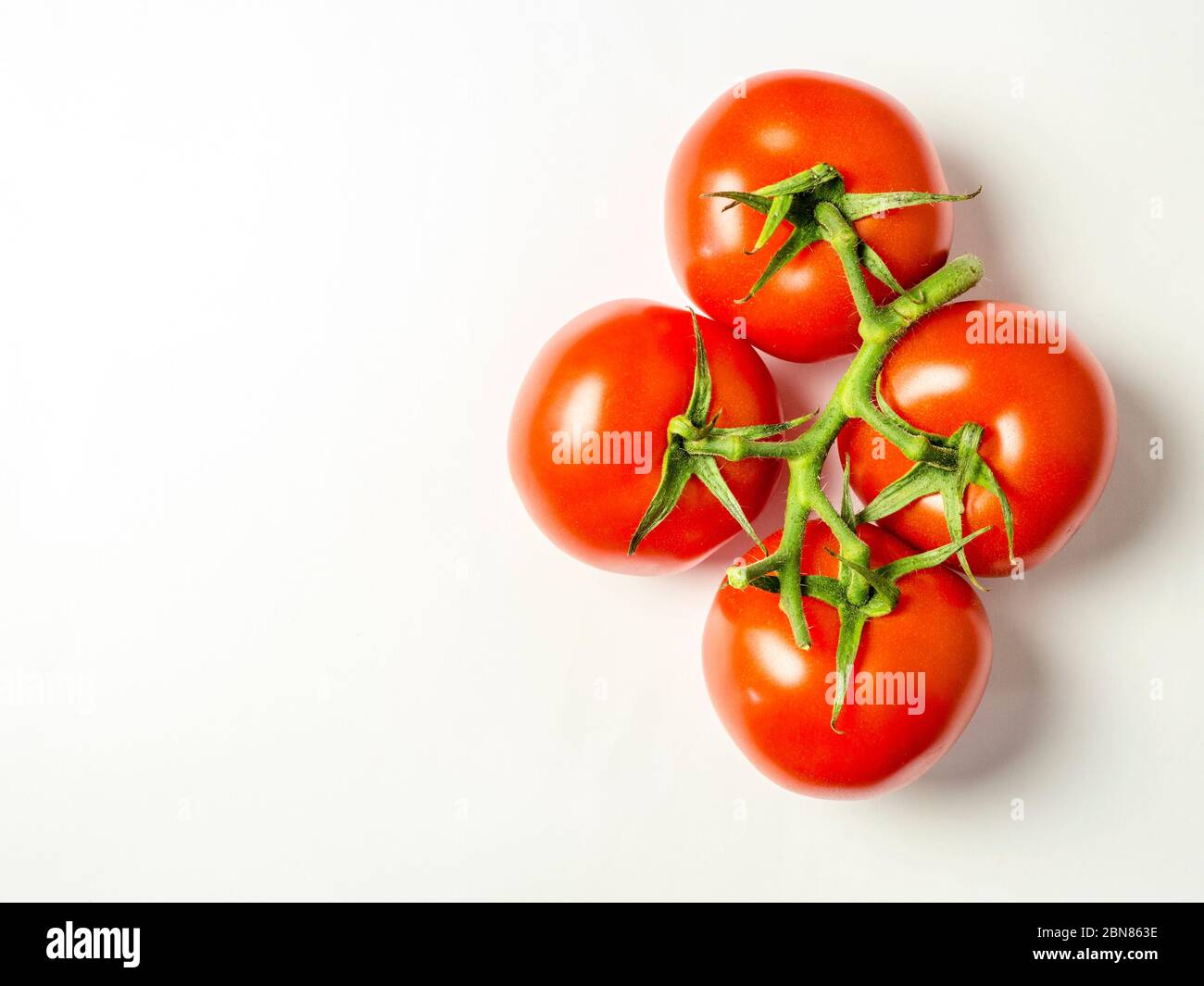 Quatre tomates rouges mûres sur la vigne isolées sur un fond blanc avec espace de copie Banque D'Images
