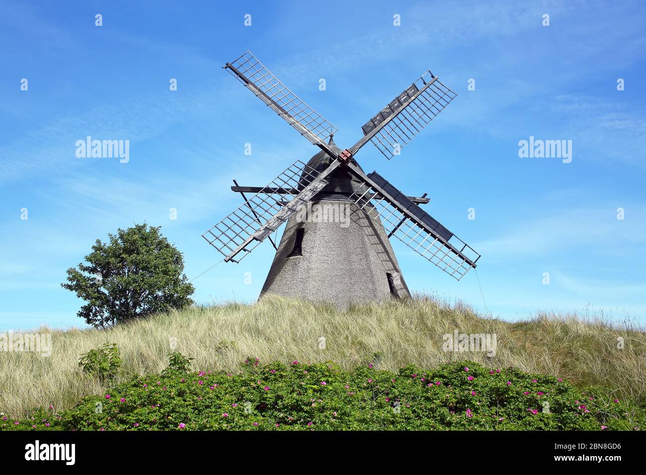 Le moulin à vent de Kragskov, datant de 1870, est un ancien moulin à vent hollandais situé à Skagen, au Danemark. Banque D'Images