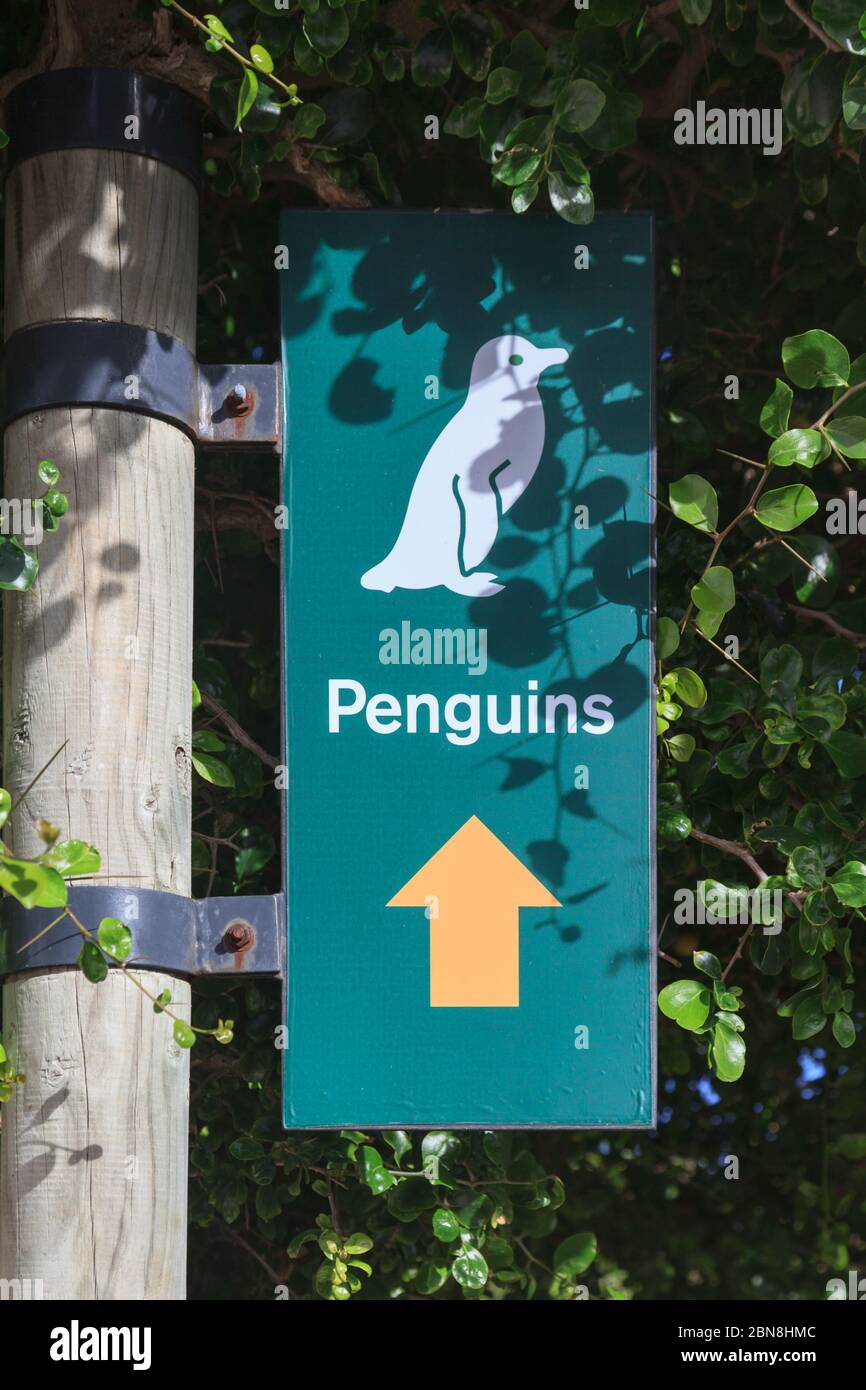 Signalisation aux pingouins, panneau indiquant aux visiteurs la colonie africaine de pingouins de Boulders Beach, le Cap, Afrique du Sud Banque D'Images