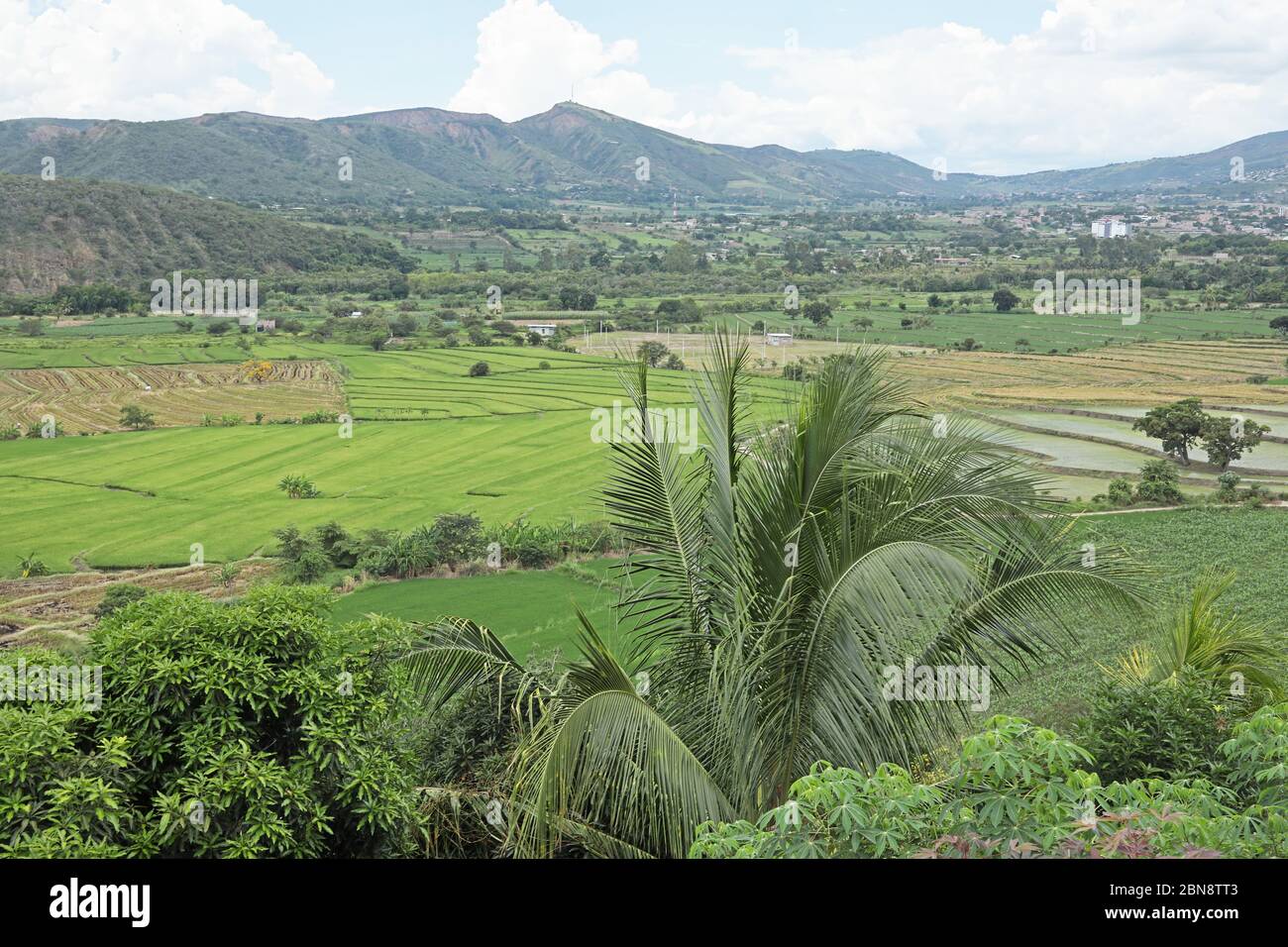 agriculture sur le fond riche de la vallée alluviale dans les montagnes près de Jaen, Pérou février Banque D'Images