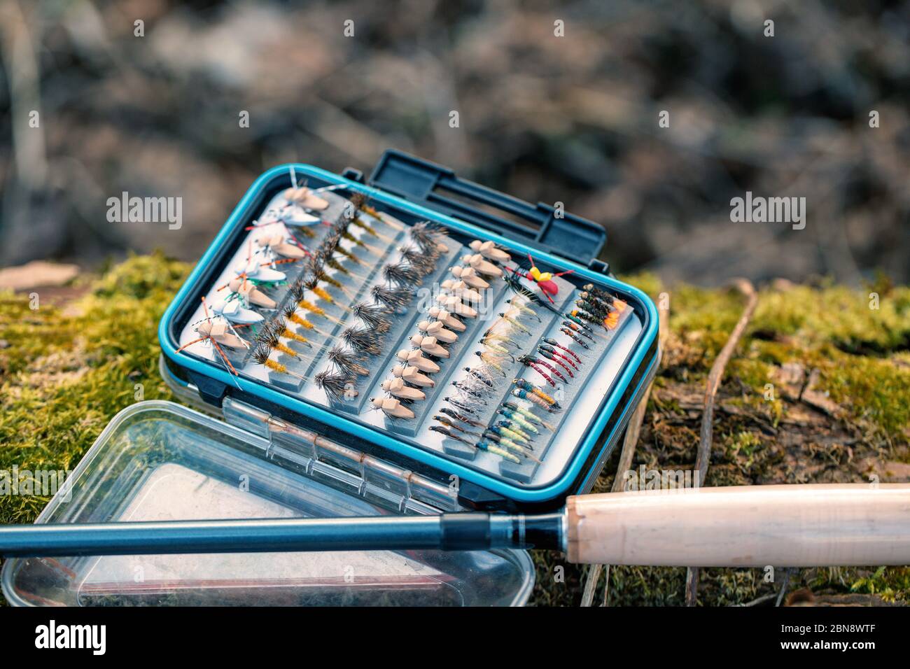 Boîte avec mouches. Pêche à la mouche. Banque D'Images