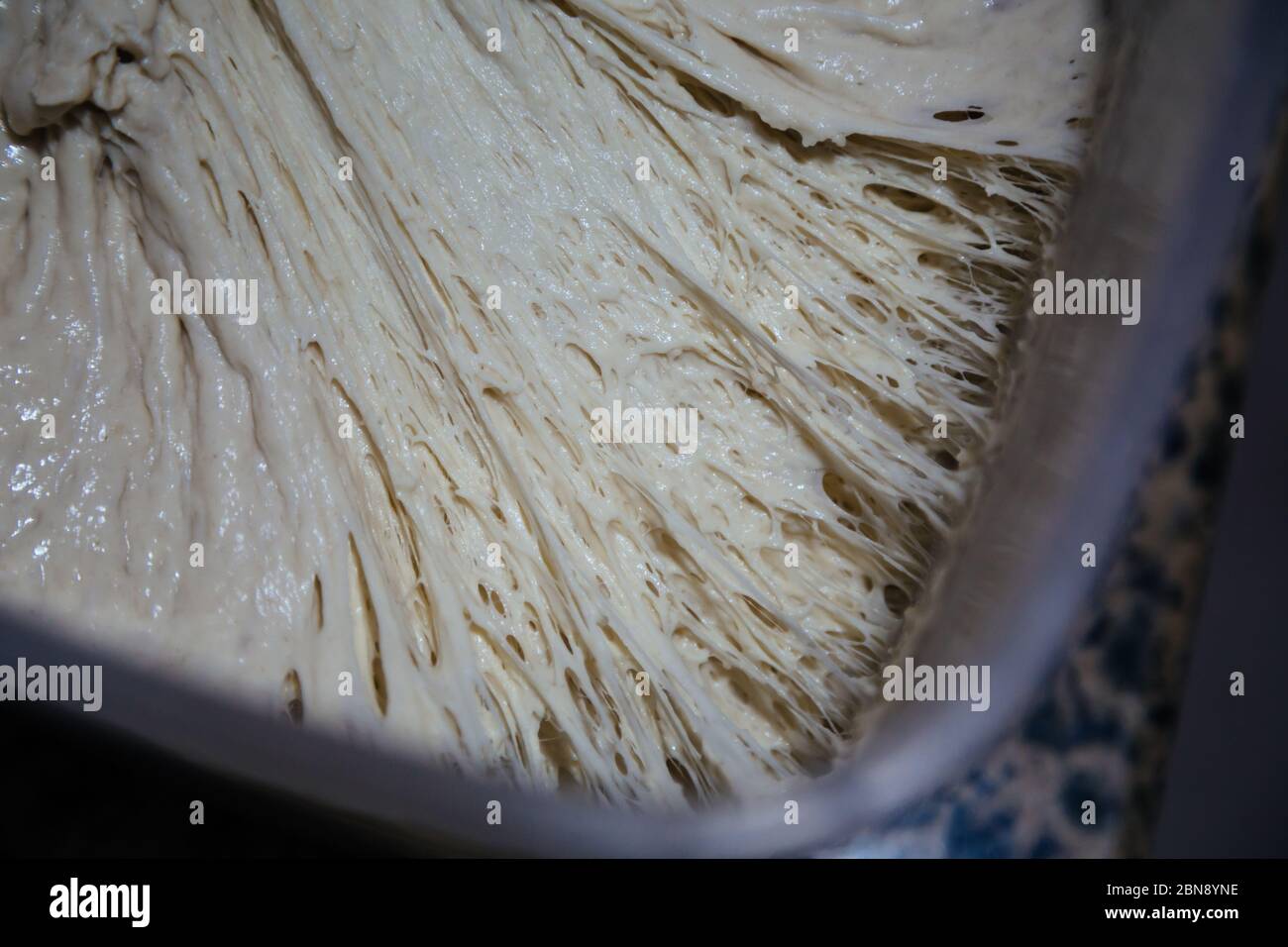Vue d'ensemble du démarreur actif moussant pétillant, prêt à l'emploi. Recette: Farine blanche, eau, sel, levure fraîche - méthode de pâte éponge Banque D'Images