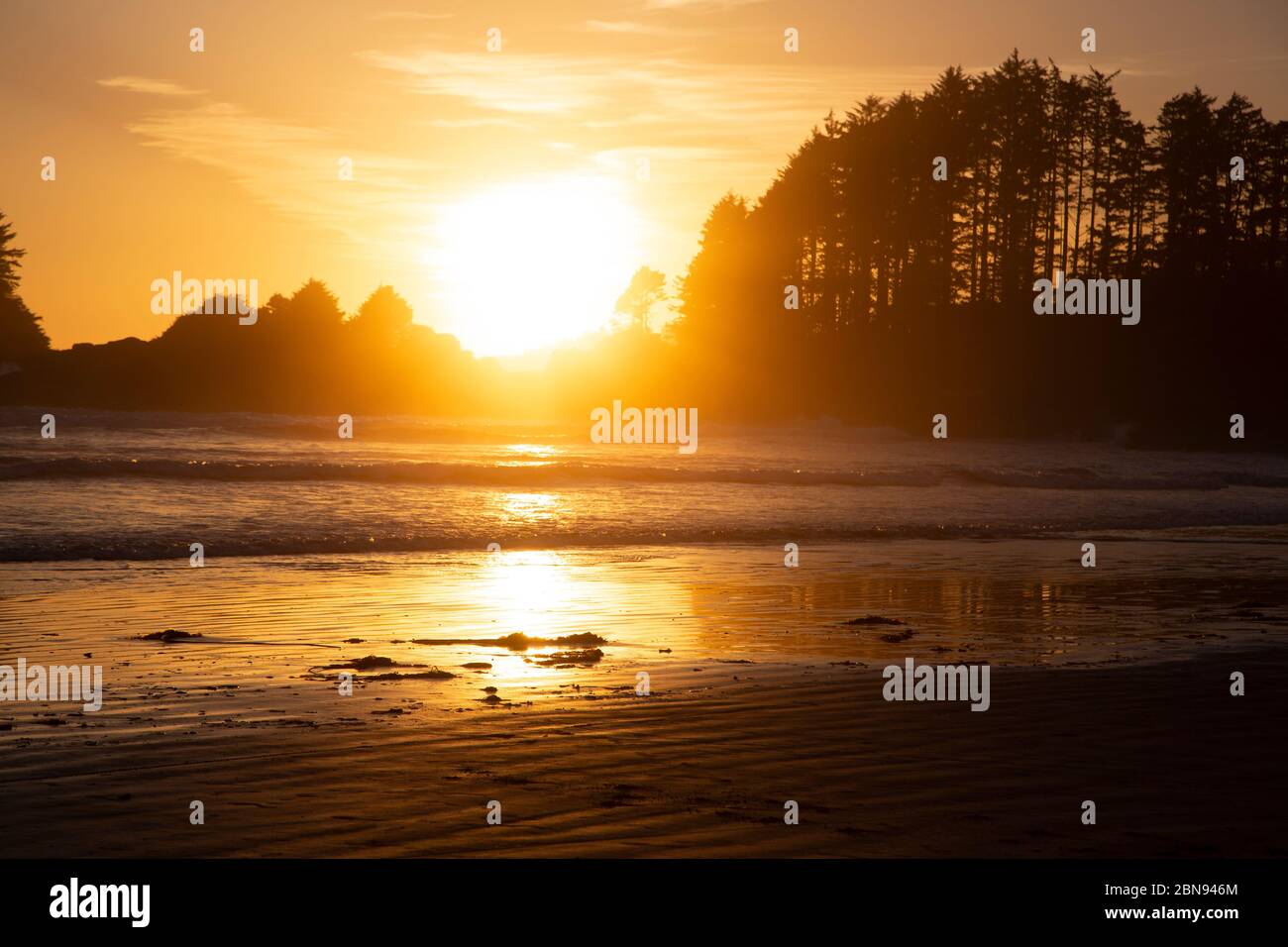 Coucher de soleil doré, long Beach, île de Vancouver Banque D'Images