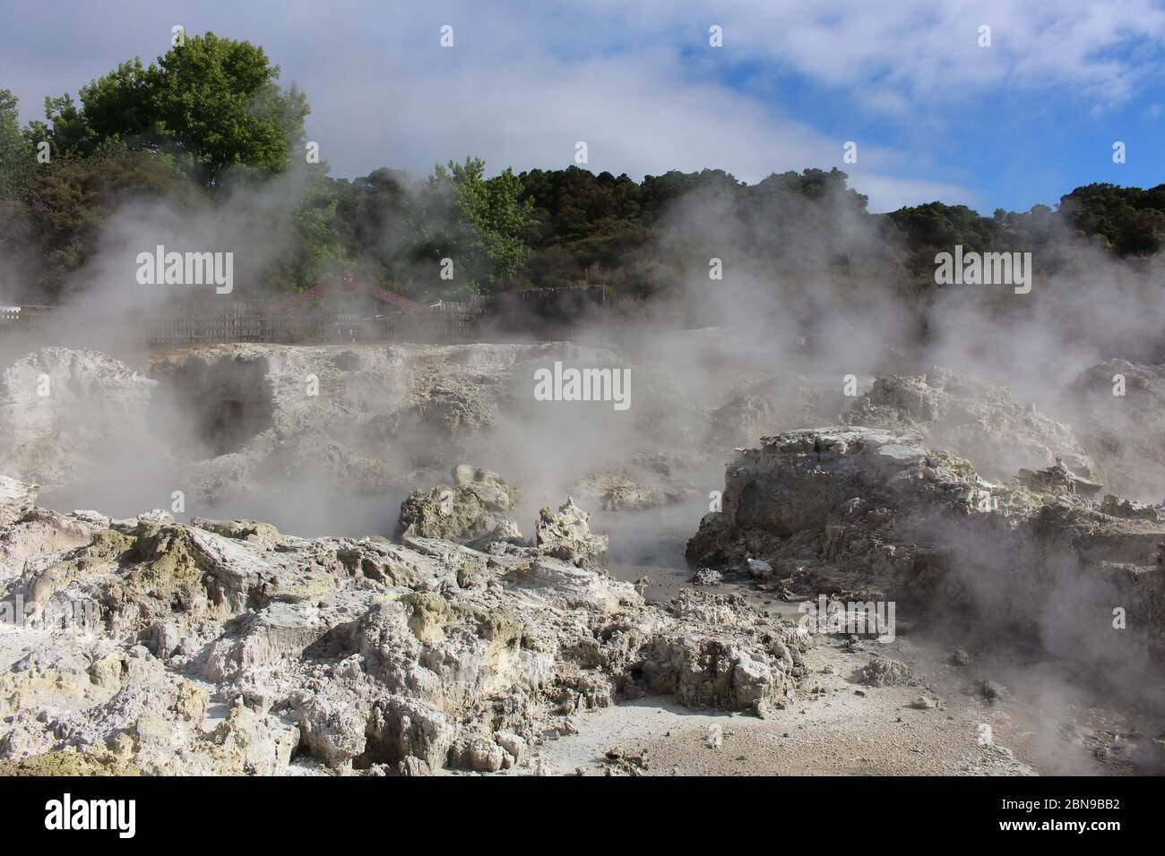 Activité géothermique au printemps thermique près de Rotorua en Nouvelle-Zélande. Banque D'Images