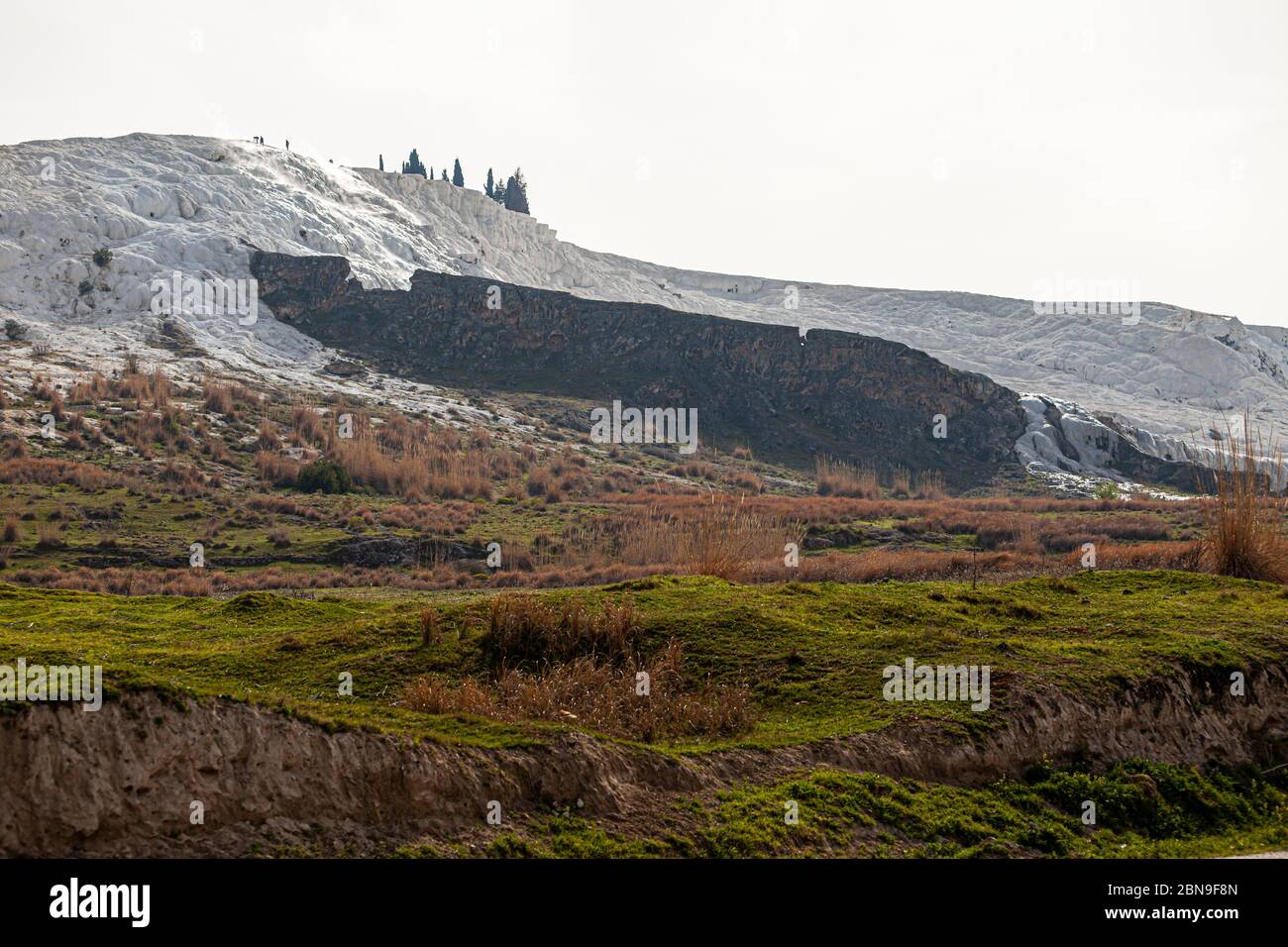 Roches calcaires à Pamukkale, Turquie Banque D'Images