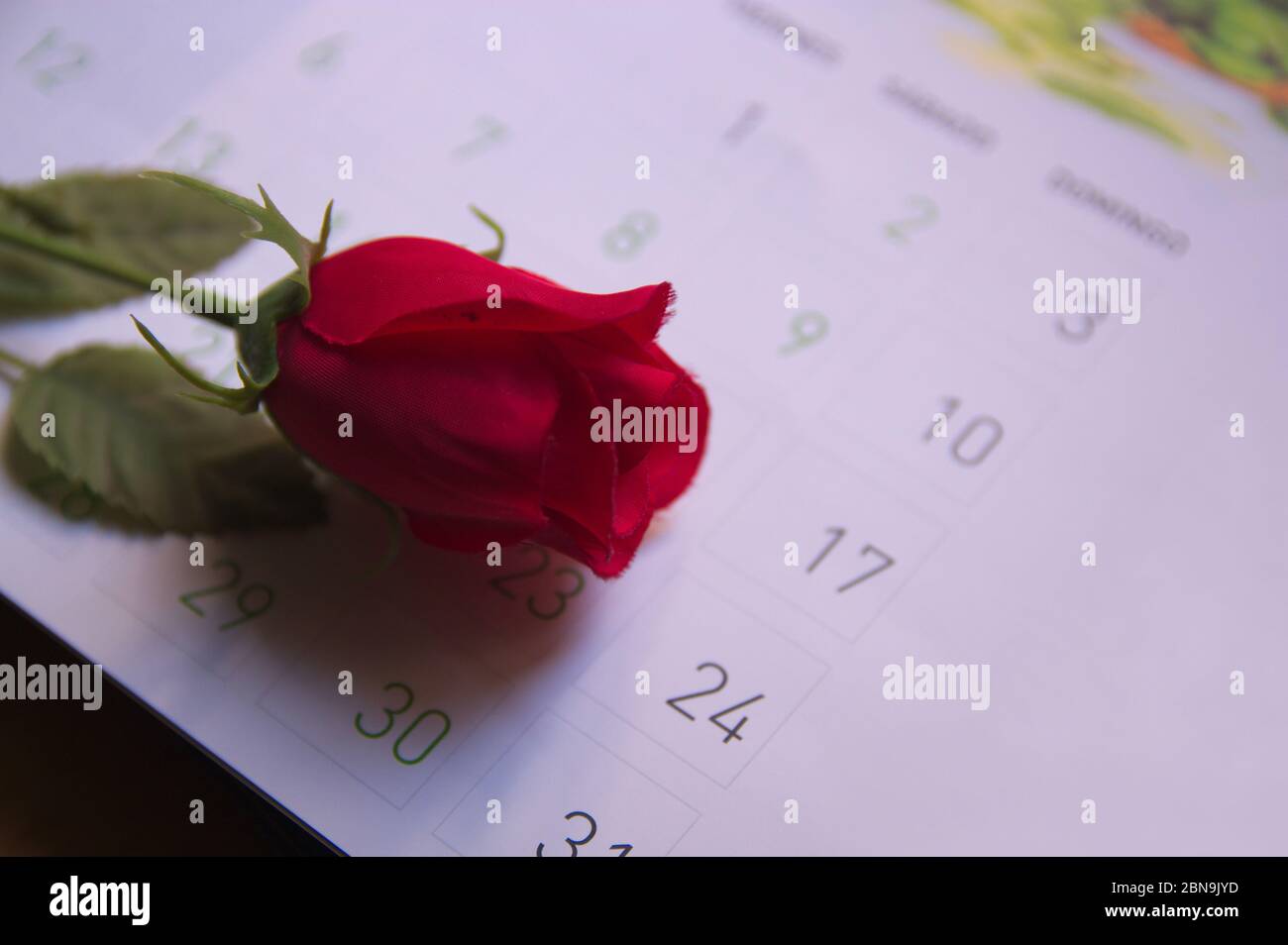 Image du dessus d'une fleur en tissu, simulant une rose rouge, sur une feuille de calendrier Banque D'Images