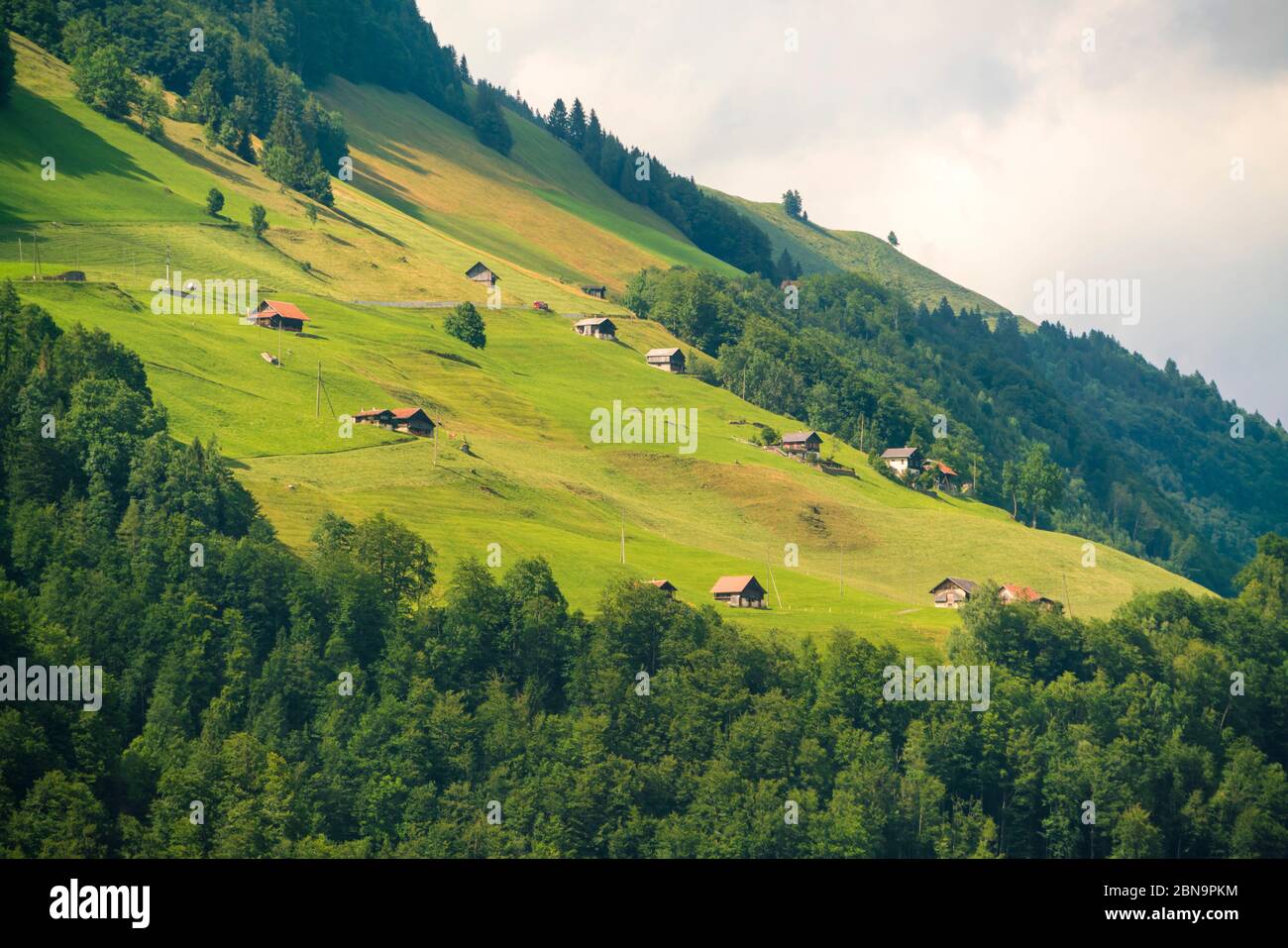 Vue sur les champs et les maisons de Burgenstock près de Lucerne lac Banque D'Images