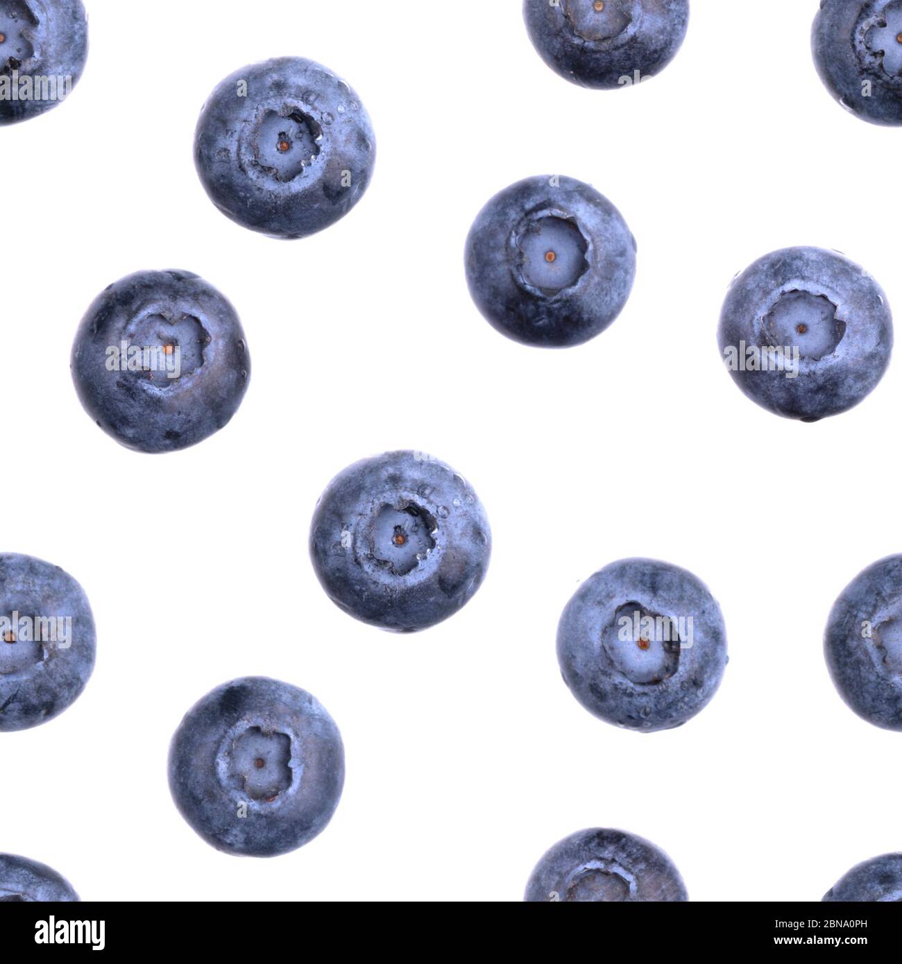 Motif bleuet sans couture. Baies isolées sur blanc. Fruits frais motif été. Concept de cuisine créative. Macro, gros plan Banque D'Images