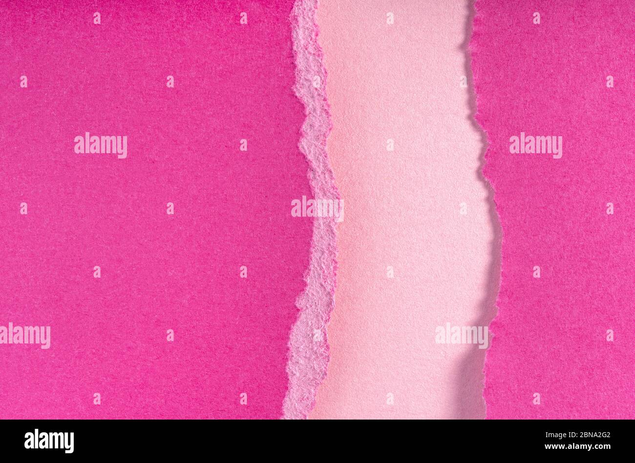 Bords de papier violet déchirés sur fond rose. Bord de papier déchiré fissuré avec une ombre molle. Copier l'espace, le cadre, la bannière Banque D'Images