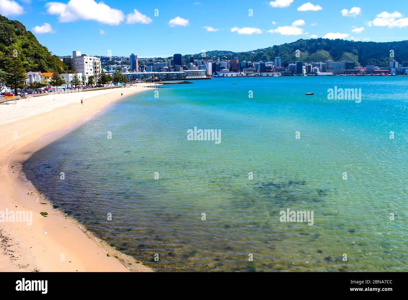 Plage d'Oriental Bay, bord de mer de l'océan Pacifique et paysage urbain de Wellington, capitale de la Nouvelle-Zélande. Banque D'Images