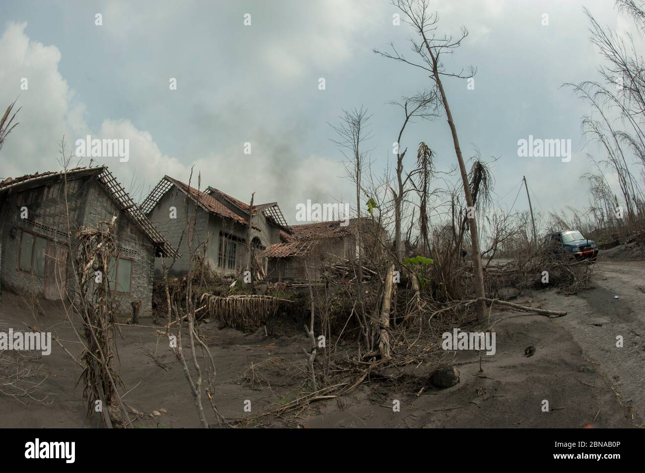 Route couverte de cendres, arbres morts et maison endommagée de l'éruption du volcan du Mont Merapi à l'intérieur de la zone d'évacuation, Pangukrejo Umbulharjo, Cangkringan, Slema Banque D'Images