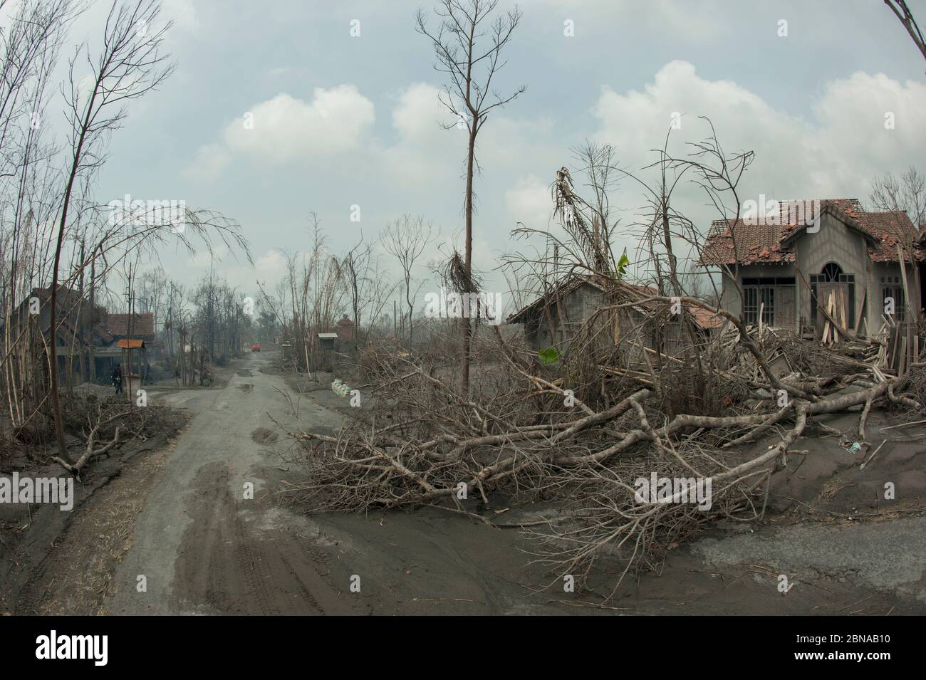 Route couverte de cendres, arbres morts et maison endommagée de l'éruption du volcan du Mont Merapi à l'intérieur de la zone d'évacuation, Pangukrejo Umbulharjo, Cangkringan, Slema Banque D'Images