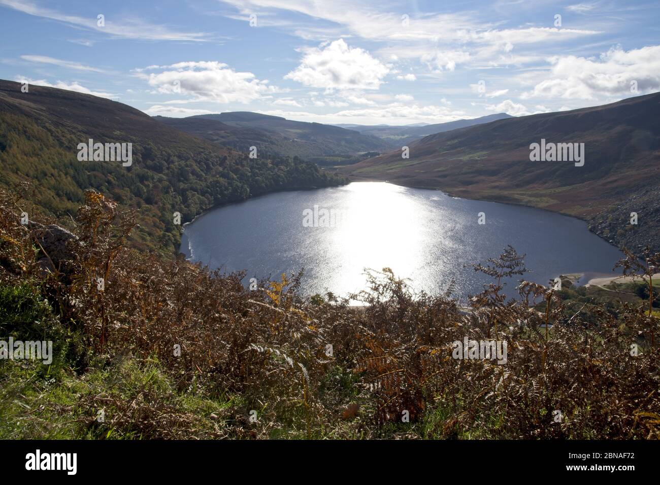 Vue à couper le souffle sur le lac Guinness entouré de montagnes et d'un forêt Banque D'Images