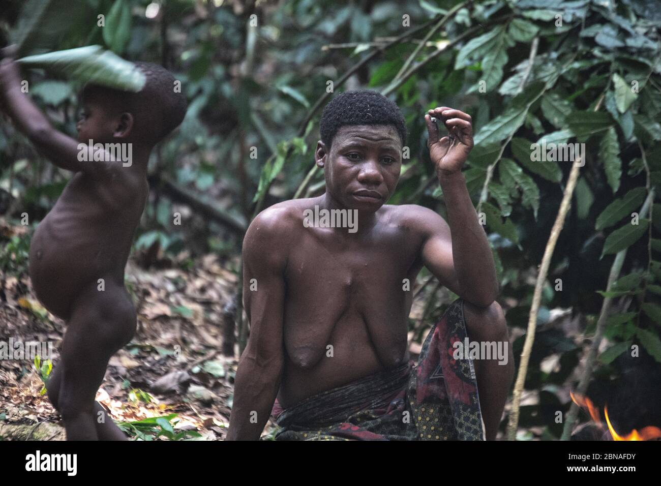 Tribu Pygmy dans la réserve forestière DE DZANGA-Sanha, RÉPUBLIQUE CENTRAFRICAINE Banque D'Images