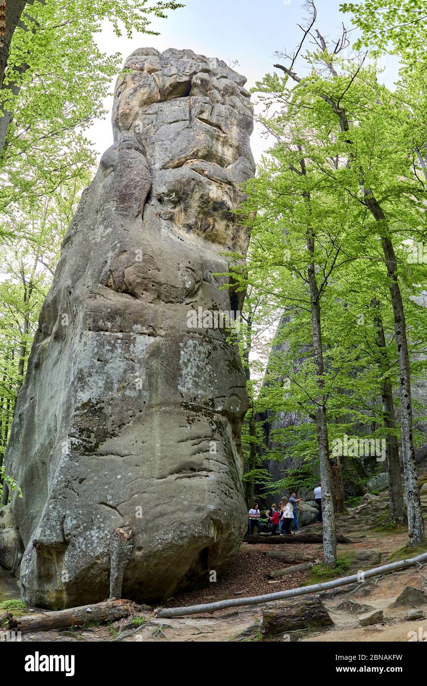 sur la nature des rochers de la forêt de montagne Banque D'Images