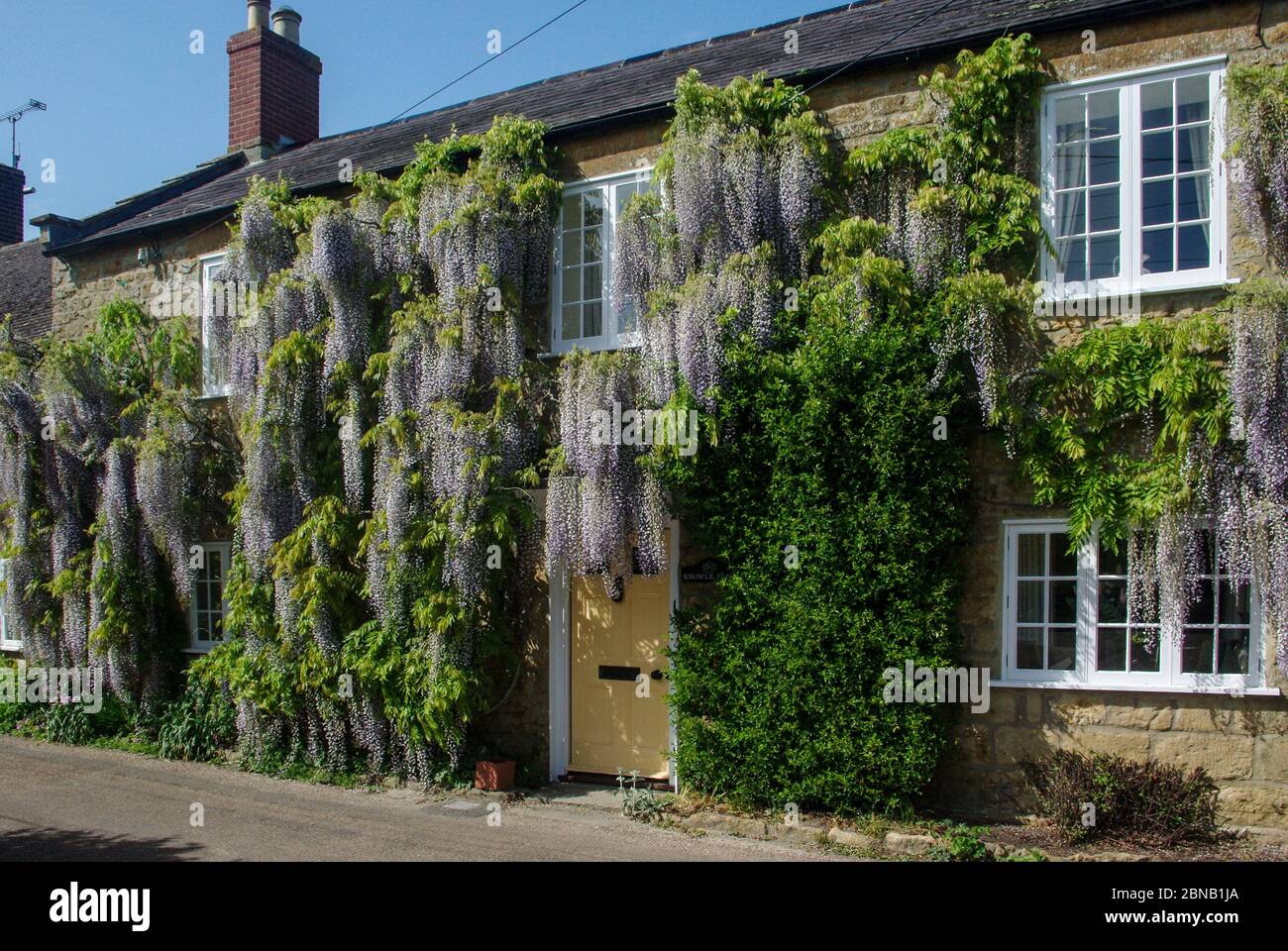 La Wisteria à fleurs violettes se brouille sur l'avant d'un chalet dans le village de Uploders, Dorset, Royaume-Uni Banque D'Images