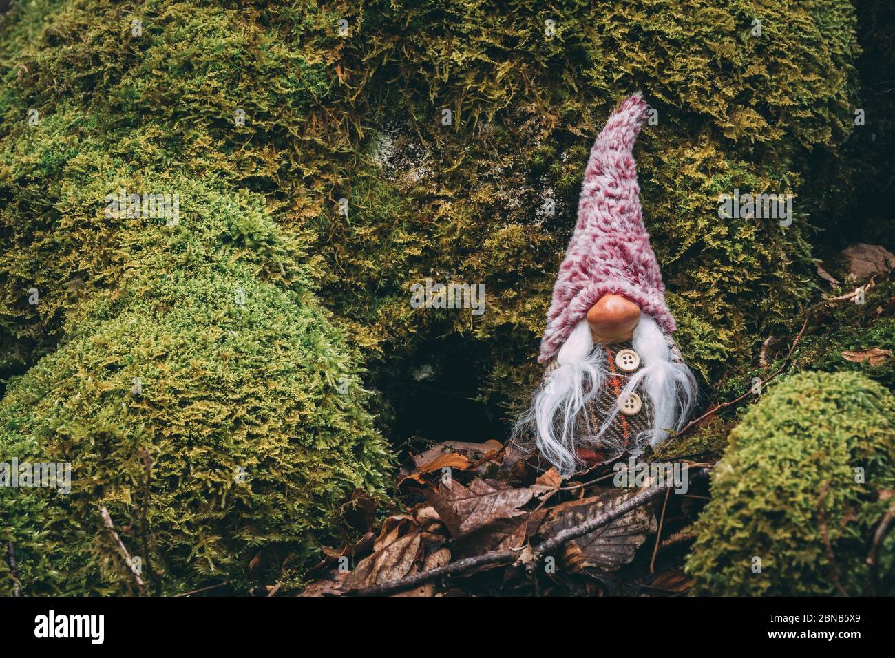 Gros plan d'un joli gnome de jardin sur la mousse terre avec feuilles tombées Banque D'Images