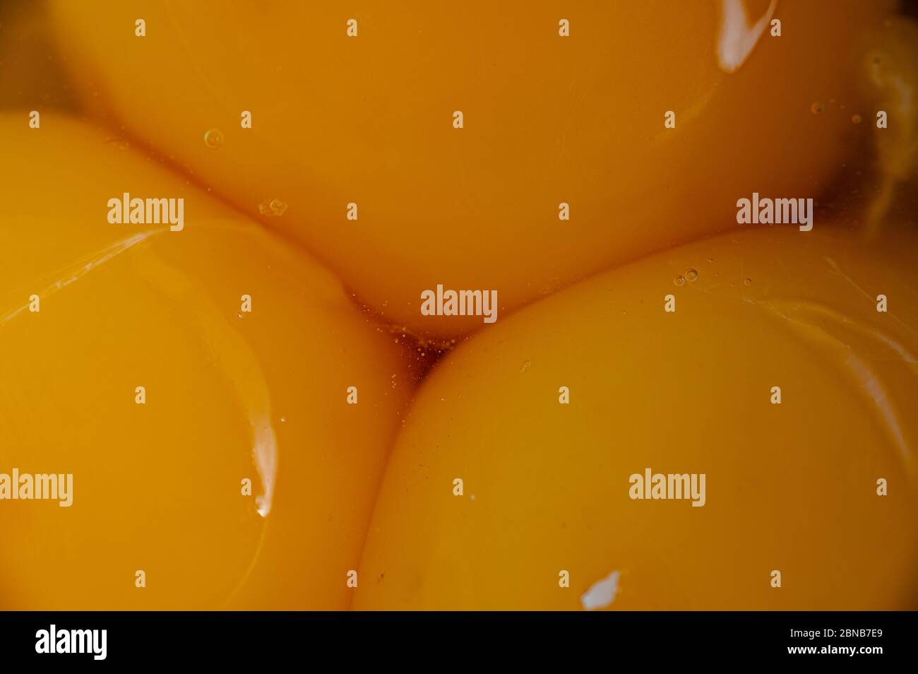 Gros plan ogros plan de jaunes d'œufs frais biologiques Banque D'Images