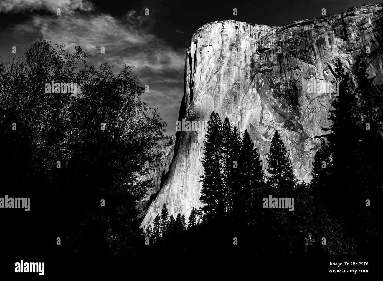 Mur d'escalade de renommée mondiale d'El Capitan, Yosemite National Park, California, USA Banque D'Images