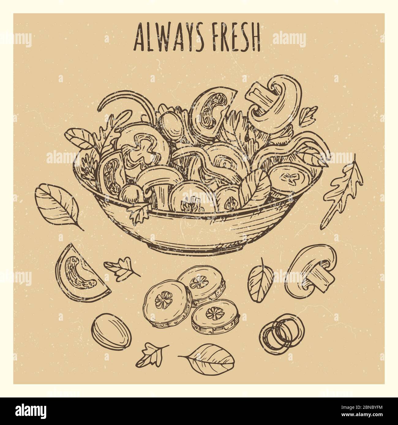 Salade verte fraîche affiche d'arrière-plan vintage bannière avec légumes dessinés à la main. Illustration vectorielle Illustration de Vecteur