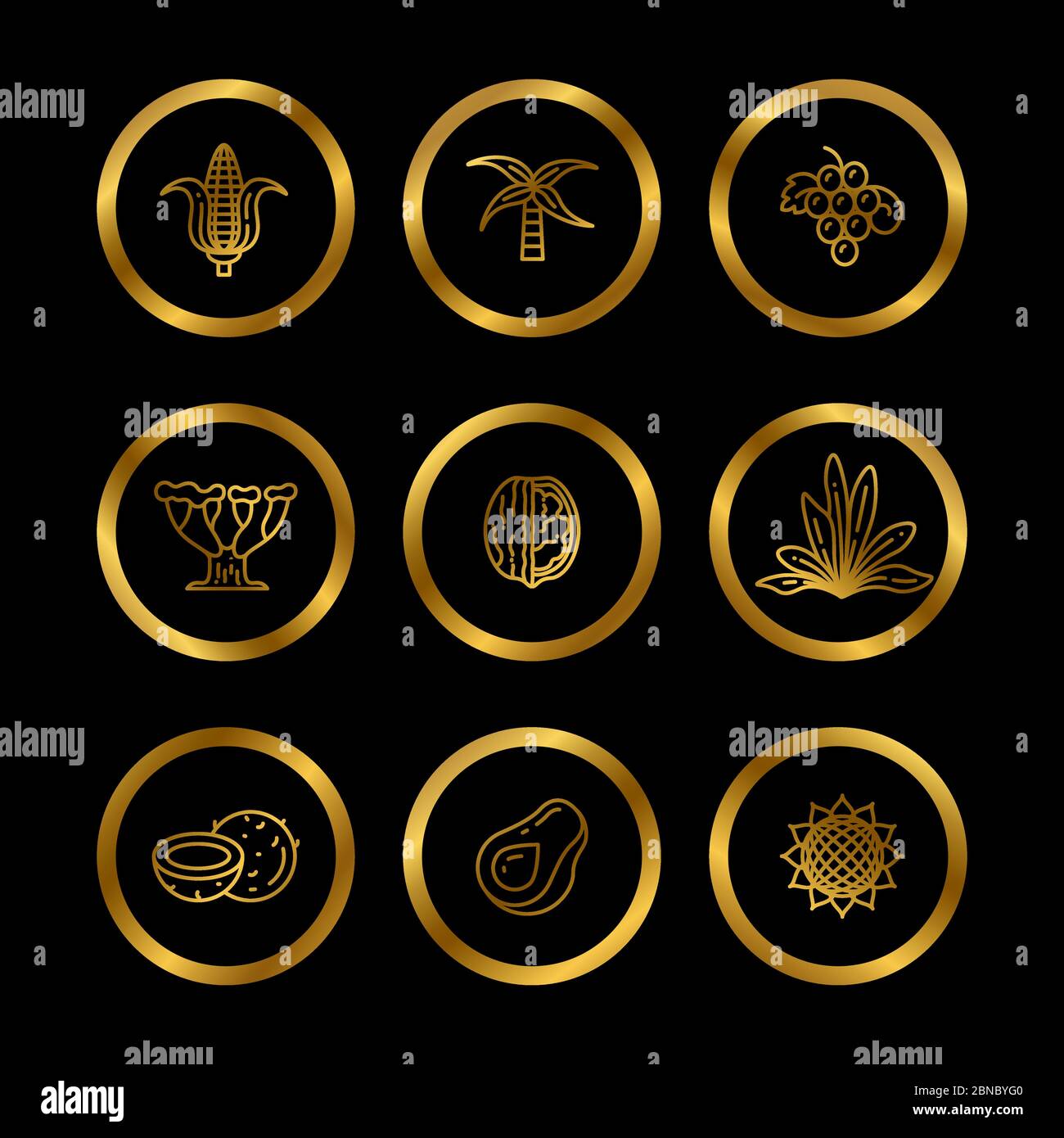 Icônes dorées des ingrédients de l'huile naturelle. Les icônes de produits écologiques de la gamme pour l'industrie alimentaire et cosmétique. Illustration vectorielle Illustration de Vecteur