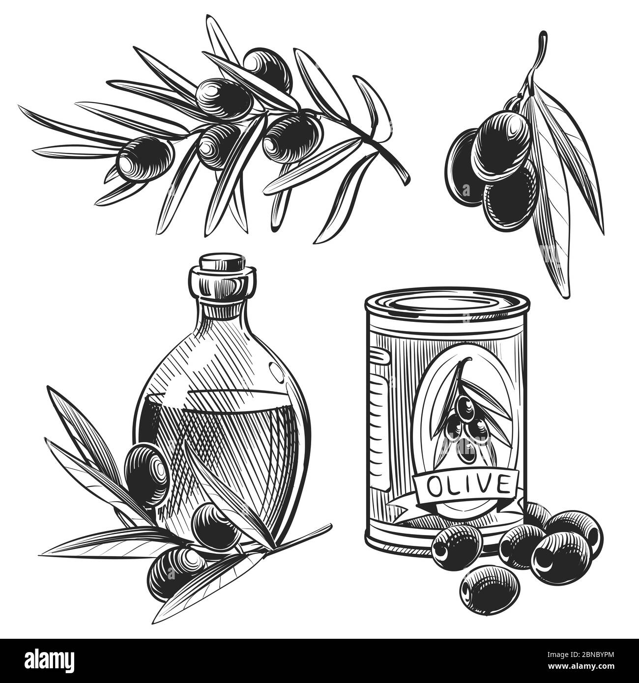 Bouteilles d'huile d'olive dessinées à la main et olives isolées sur fond blanc. Illustration vectorielle Illustration de Vecteur
