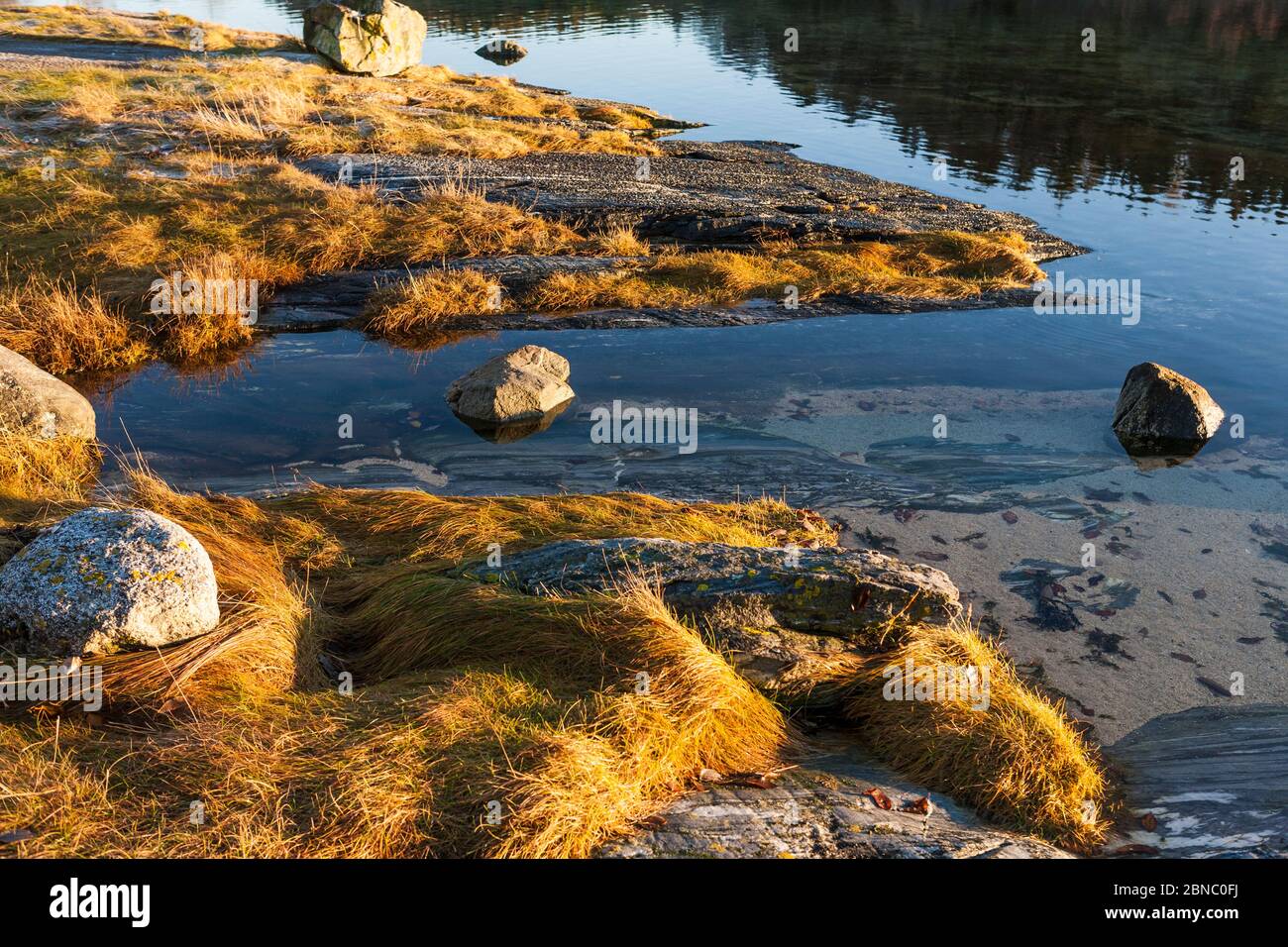 Un lac sauvage au milieu de la ville: Frøkenosen à Brønnøysund, Helgeland, Norvège du Nord Banque D'Images