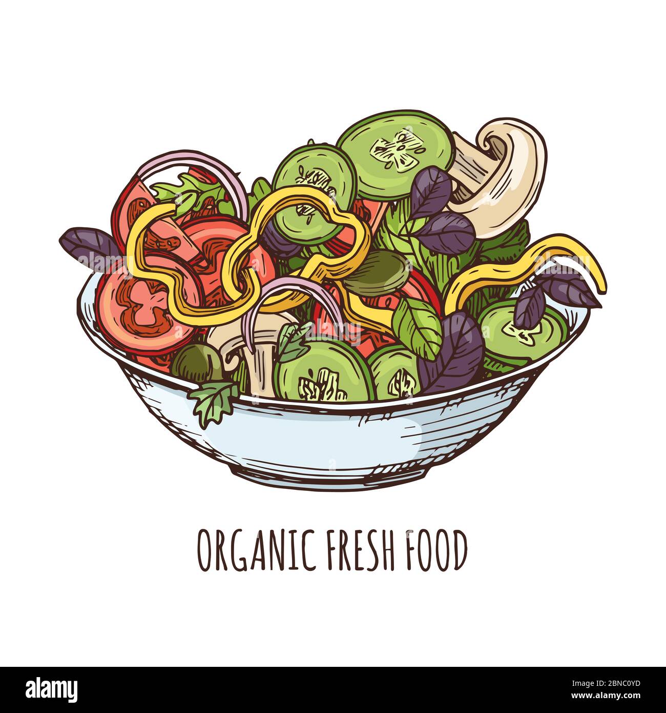 Illustration des produits frais biologiques. Salade verte tirée à la main dans un bol isolé sur fond blanc vectoriel Illustration de Vecteur