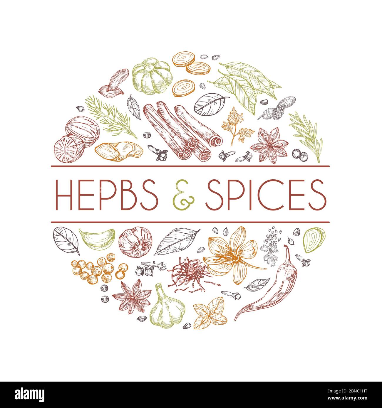 Herbes et épices fond. Cuisine asiatique tirée à la main. Style gravé de vecteur d'herbes de cuisine indiennes. Romarin et cardamome, gingembre et cannelle Illustration de Vecteur